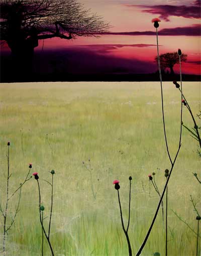 Katie Deith, Salonius, oil on canvas, 2005, 135 x 102cm