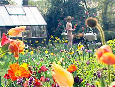 Colours and Sounds in Ivan Morison's Garden
