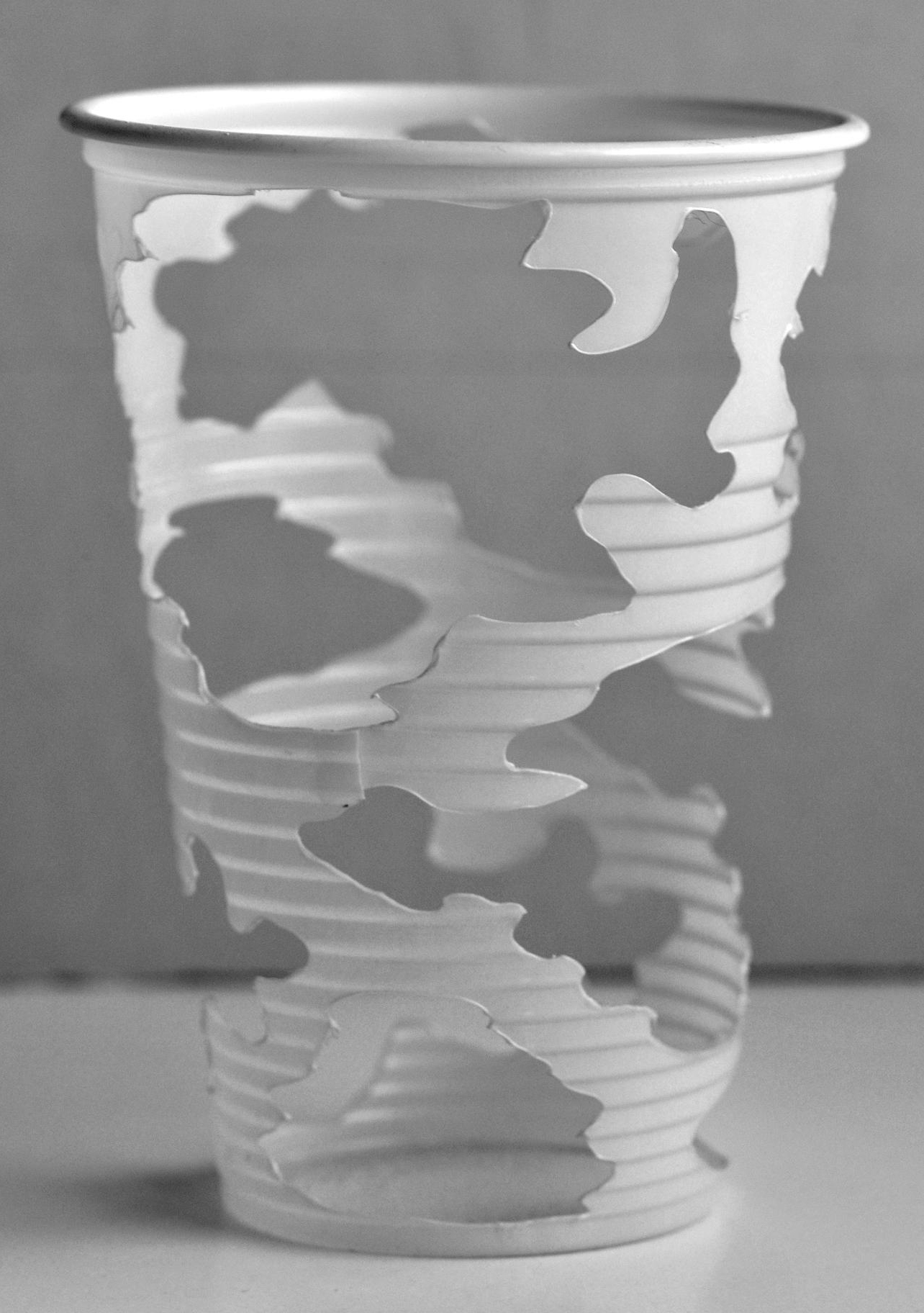 Camouflage Cup